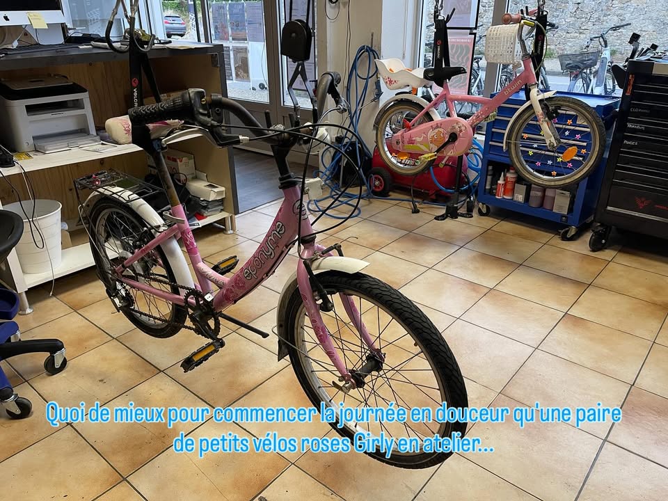 Nothing is better than two Pink Kids bikes for repair 1 743820021735995 - Quimper Brest Nothing is better than two Pink Kids bikes for repair 1 743820021735995 - Quimper Brest