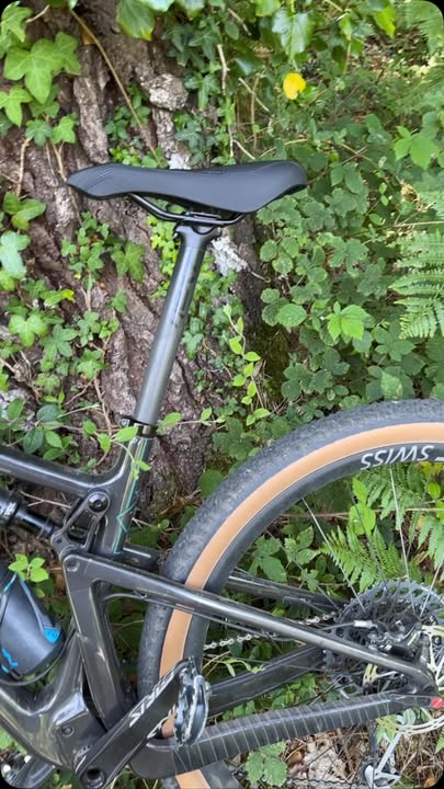 Une selle Crivit sur un Santa cruz 1 992669743517687 - Quimper Brest Une selle Crivit sur un Santa cruz 1 992669743517687 - Quimper Brest
